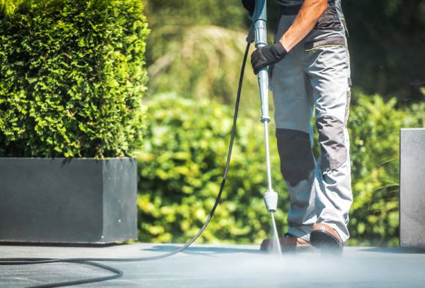 Best Rust Removal  in Coral Terrace, FL